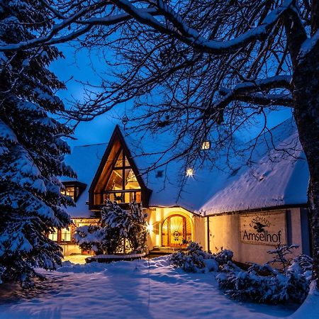 Landhaus Amselhof Hinterzarten Εξωτερικό φωτογραφία